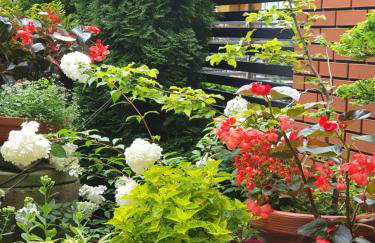 Studio przy Wałowej - Foto 13