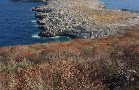 Villa Dimitra - Mani , traditional archontiko - Foto 71