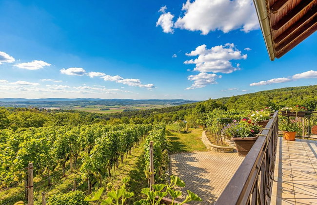 Vineyard Homestead Vrtin - Foto 35