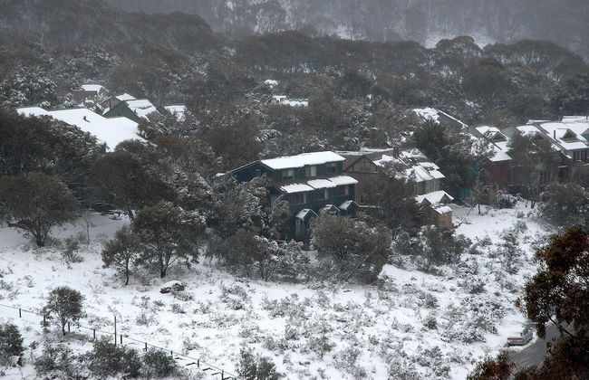 Three Bears 2 - Photo 15