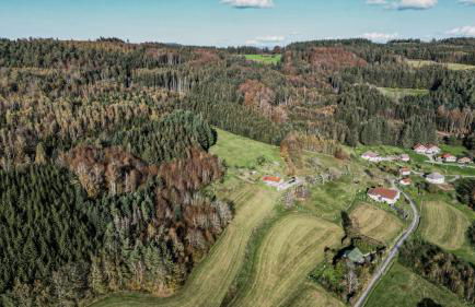 Refuge au coeur des Vosges - Foto 33