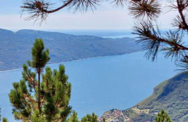 Corte Trepee - Foto 52