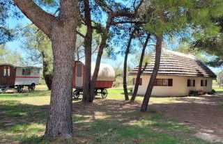 cabane de gardian - Foto 1