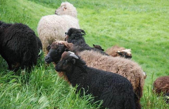 La Casona de Amaido - Foto 56