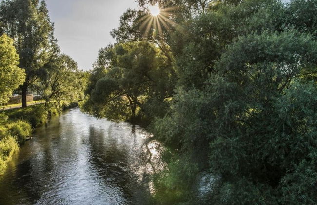 Holiday Home with Garden & Terrace in Bodenwöhr near Hammersee - Foto 27