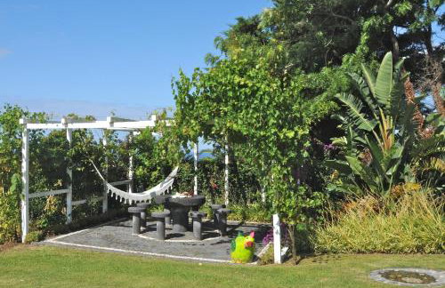 Lobo do Mar - Foto 21