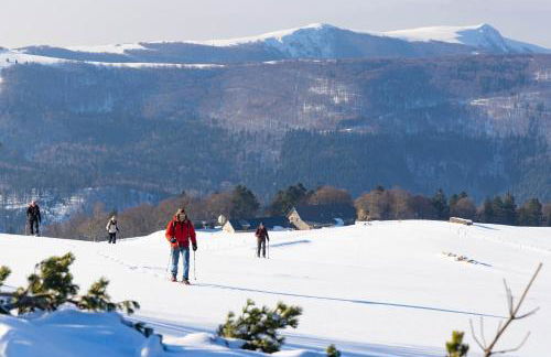 Grand Mobil Home 6 personnes climatisé avec 3 chambres et 2 salles de bains à Munster en Alsace - Foto 40