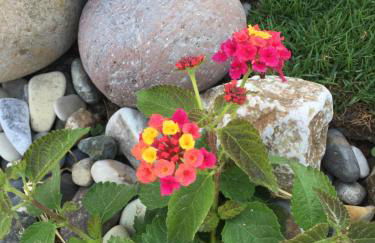 Anemos Apartments - Foto 20