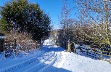 The Den, Coves House - Foto 34