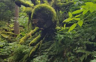 Apartment Bär by Interhome - Foto 22