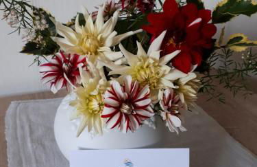 Pension Marina - Foto 14