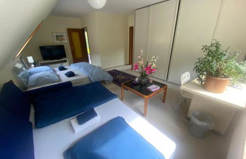 Gartenblick-Oase: Obergeschosswohnung in Hamburg - Foto 2