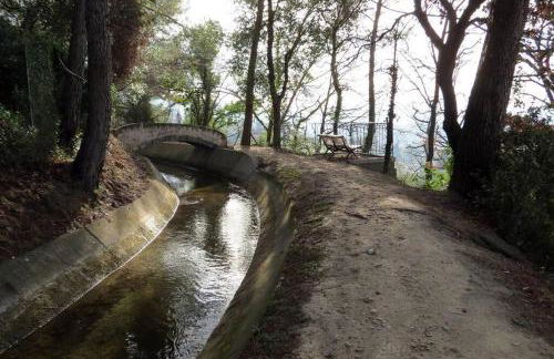 studio bas de villa, jardin et spa (été seulement) - Foto 13