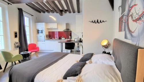 Le Saint-Aignan, centre, Parking à tarif préférentiel, 3 étoiles - Foto 2