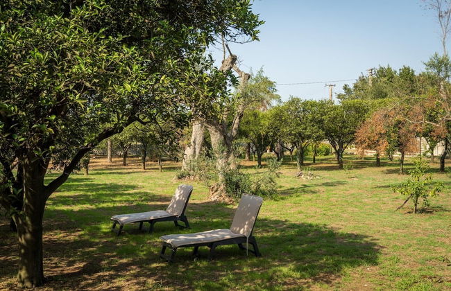 Agriturismo Villa Coluccia - Foto 62