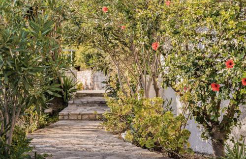 Vigla-Βίγλα 1 2 - Photo 23