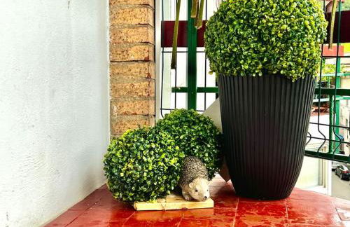 ESPECTACULAR Apartamento en el Centro de Cantabria - Foto 41