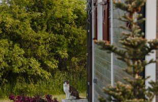 Domki na Górniej Łące - Dwa Wróble - Foto 42