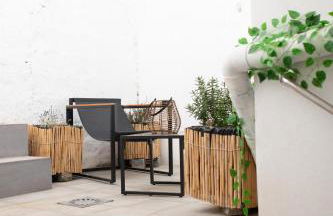 La bodega de la Yaya - Foto 6