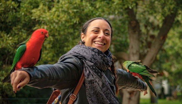 Conoceremos algunos simpáticos pájaros