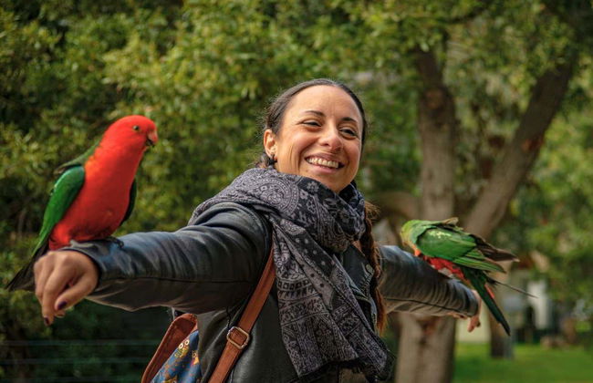 Great Ocean Road Tour - Photo 5