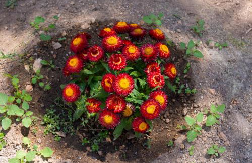 Sunset Resort - Foto 23