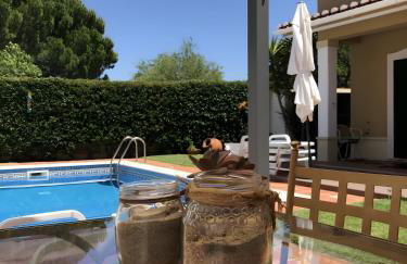 Casa de Jardim - Foto 26