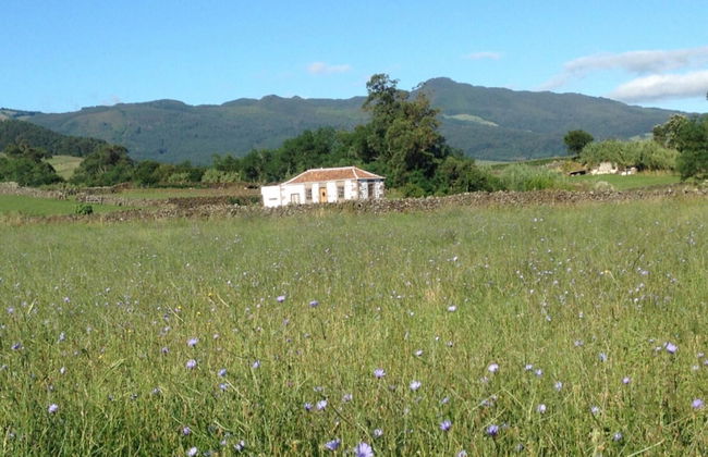 Quinta de São Braz - Foto 31