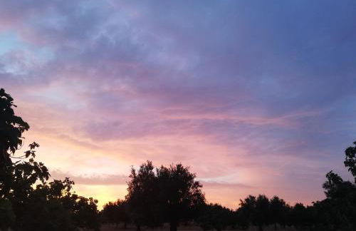 Burrico D`Orada - Rural Stays & Wine Country Tours - Foto 74