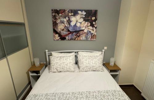 Athens view penthouse with private parking - Foto 19