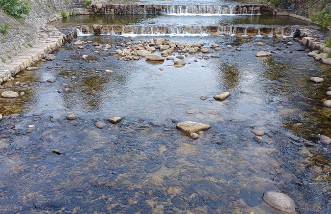 Sluneční stráň III - Photo 28