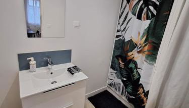 Jeny 1 - Studio rénové tout confort - RDC - Wifi - 10mn Hypercentre - Foto 2, towels, Shower