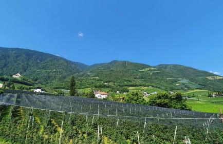 Haus Sonnegg - Foto 34