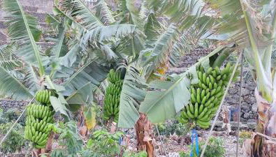 Independent house in rural setting - Foto 3