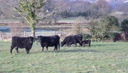 Perthi Uchaf - Foto 4