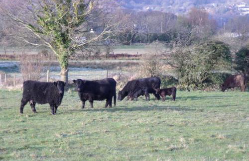 Perthi Uchaf - Foto 4