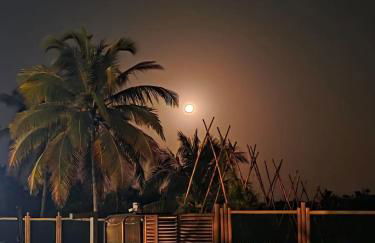 Bangalô Avellar - Foto 37