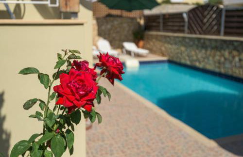 Villa Apollon II - Photo 13