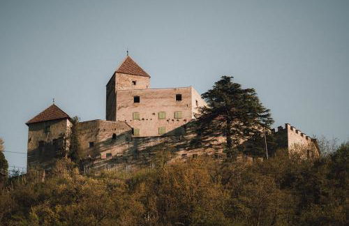 Pitzner - Winery & Suites - Foto 19