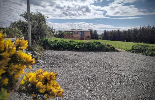 Fir Tree Shepherd's Hut - Photo 21