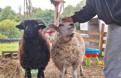 Farm woodland riverview cabin bbq firepit pet friendly - Foto 28