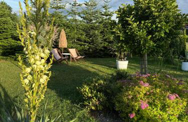 Krecia Dolina - Kaszubskie Wzgórza - Foto 15