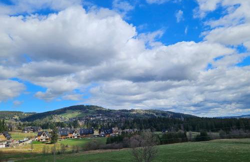 Apartamenty u Rysulów - Foto 22