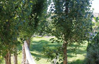 Charming House in Castro Marim with Shared Pool - Foto 11