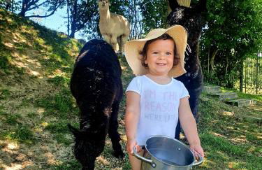 Agriturismo Il Vecchio Mandorlo - Foto 22