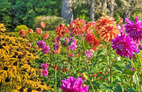 Fishermens Paradise in Coos Bay Walk to Beach! - Foto 39