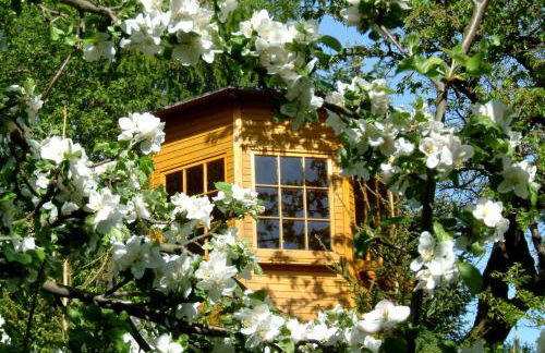 Harzer Feriengarten - Foto 43