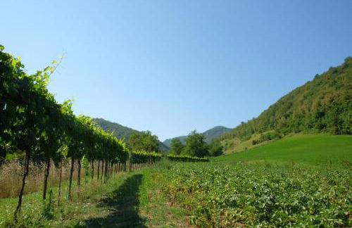 Agriturismo Campo Rosso - Foto 61
