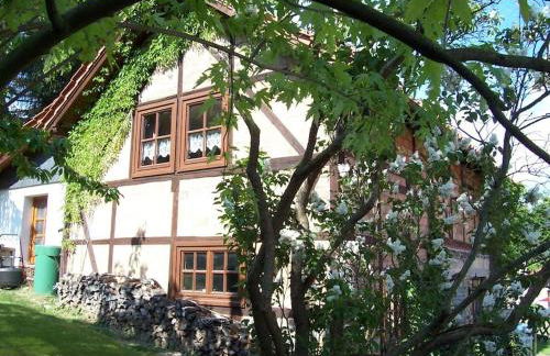Ferienhaus Harz - Foto 3