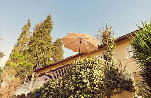 Monteiro's Gerês Countryhouse - Photo 21